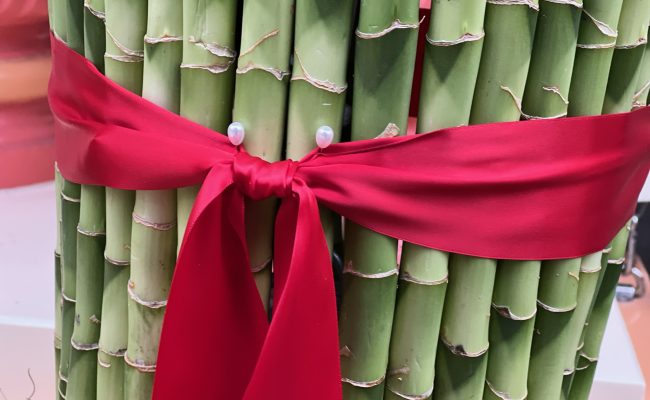 012333d453b9194ecddc3d1cd7d6c6d23ccf67938a